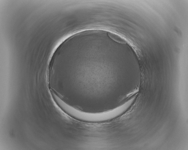 X0000116281527200912141338
