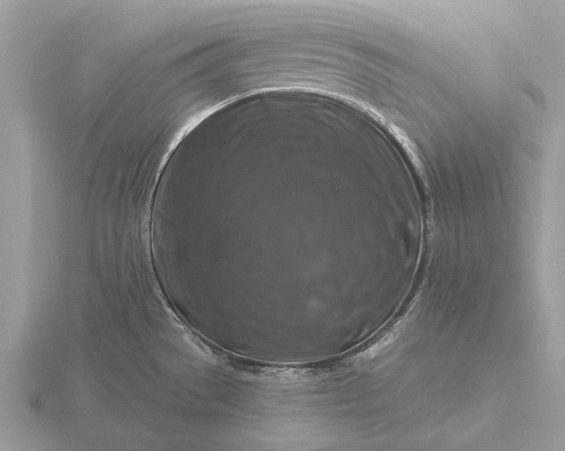 X0000116281529200912141338