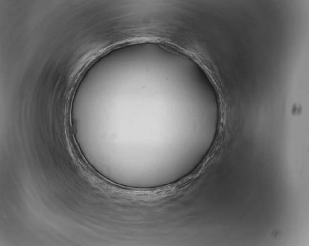 X0000116280001200912211829