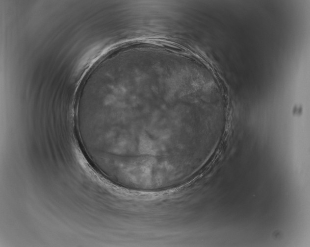 X0000116280002200912211829