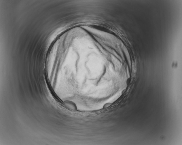 X0000116280003200912211829