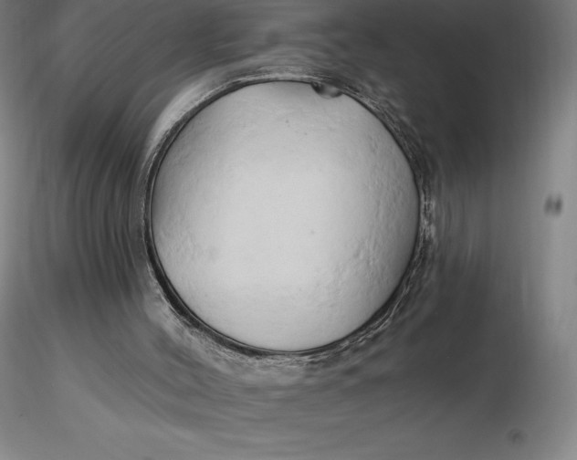 X0000116280004200912211829
