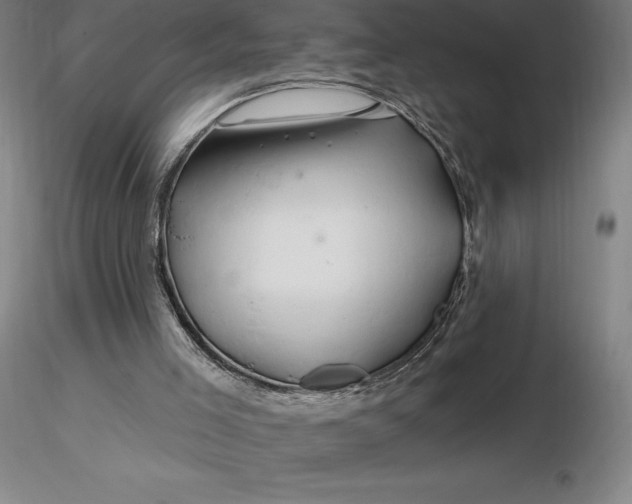 X0000116280005200912211829