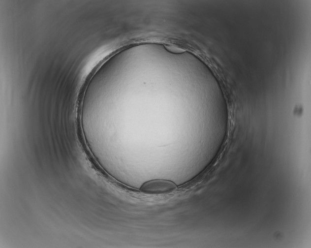 X0000116280006200912211829