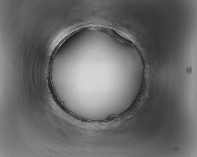 X0000116280007200912211829