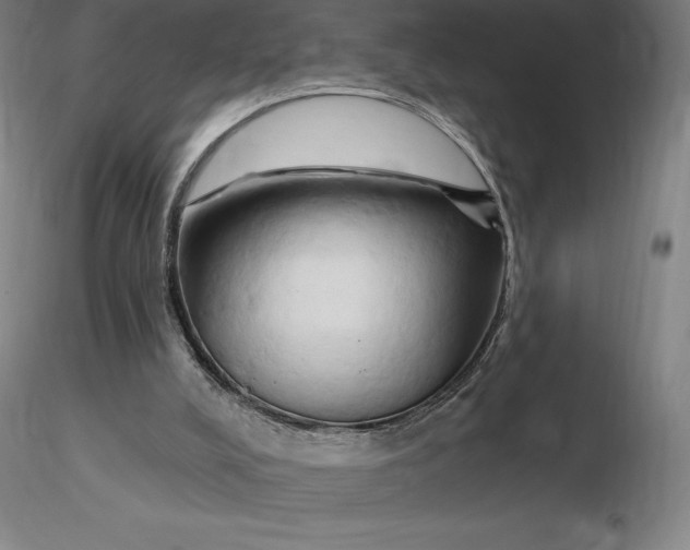 X0000116280008200912211829