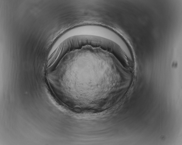 X0000116280009200912211829