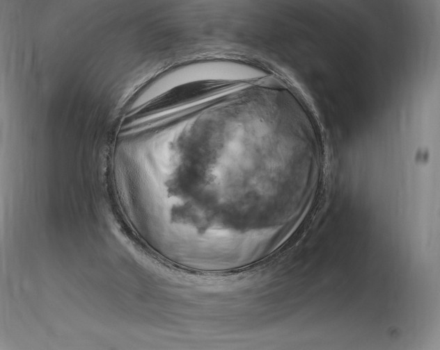 X0000116280010200912211829