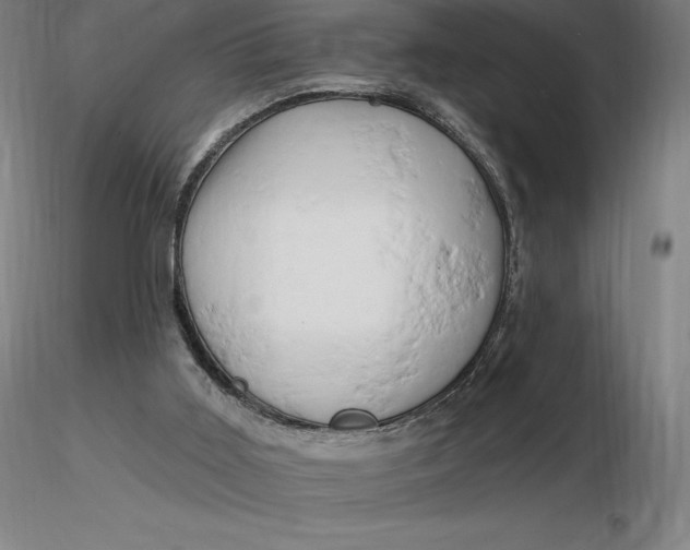 X0000116280011200912211829