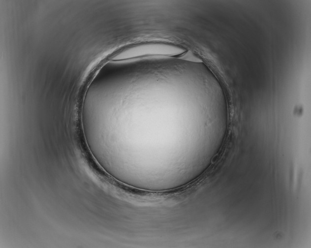 X0000116280012200912211829