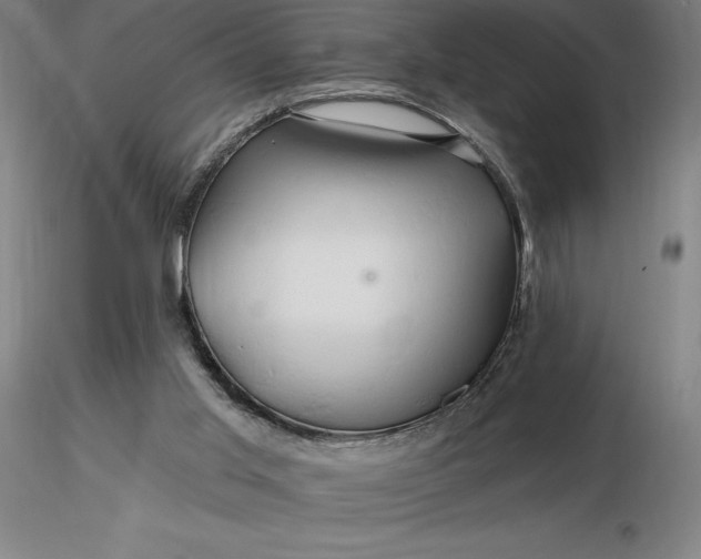 X0000116280013200912211829