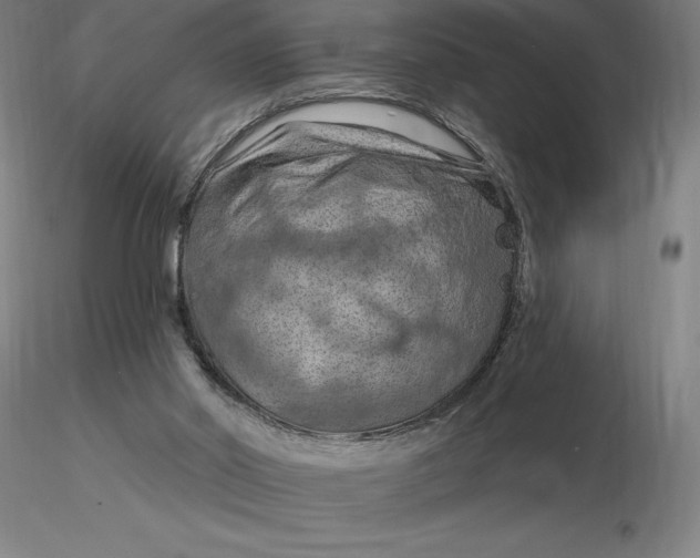 X0000116280014200912211829