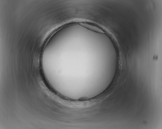 X0000116280015200912211829