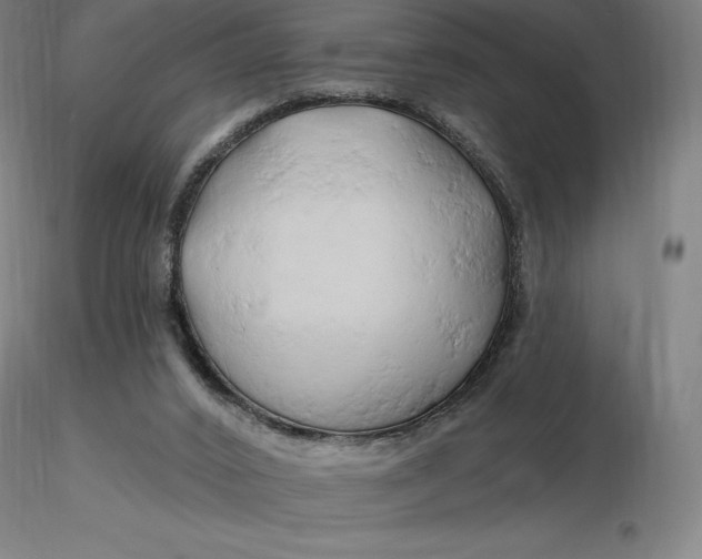 X0000116280016200912211829