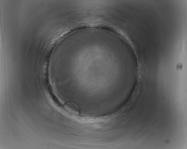 X0000116280018200912211828
