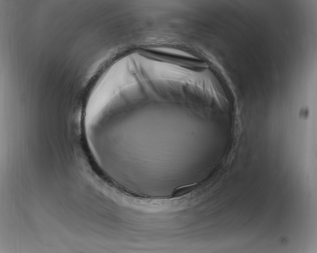 X0000116280019200912211828
