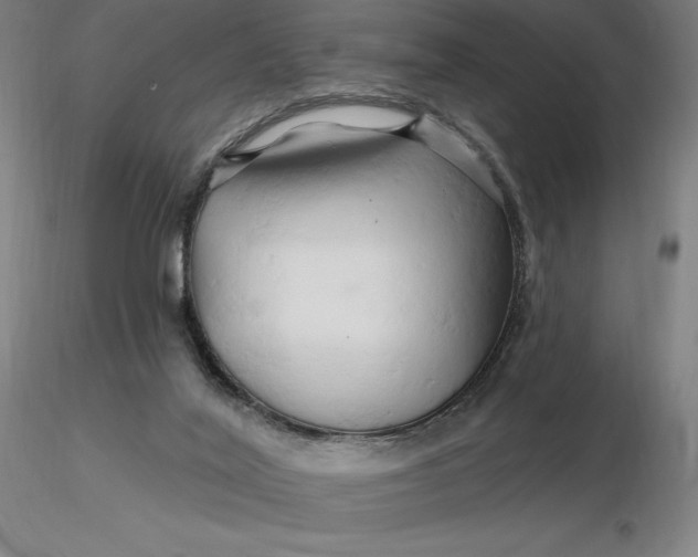 X0000116280020200912211828
