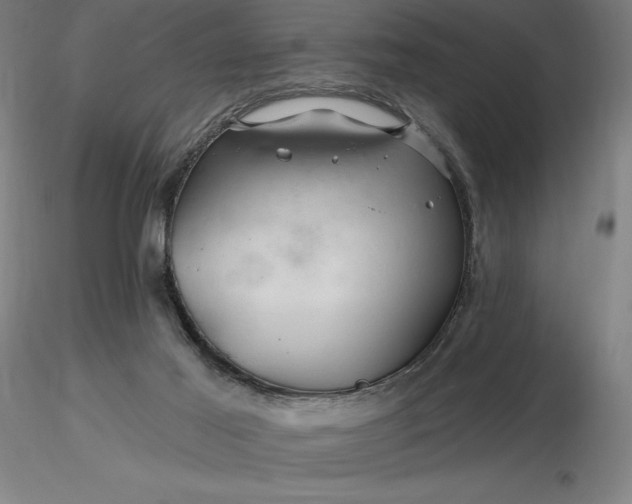 X0000116280021200912211828