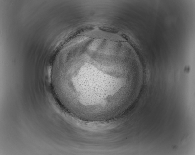 X0000116280022200912211828