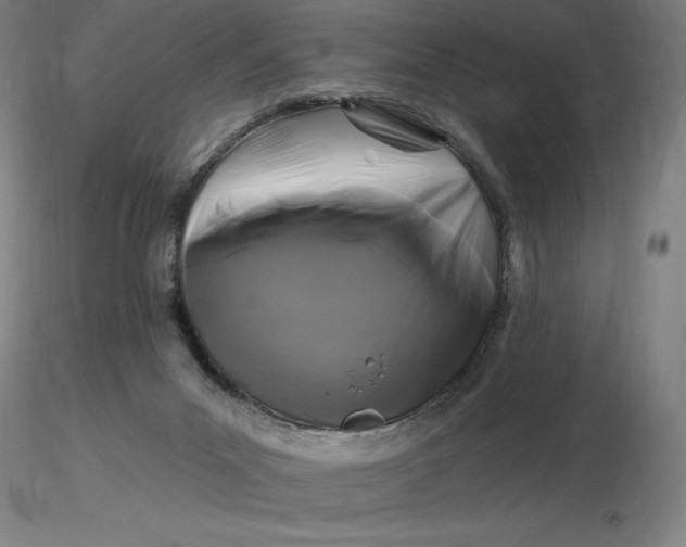 X0000116280023200912211828
