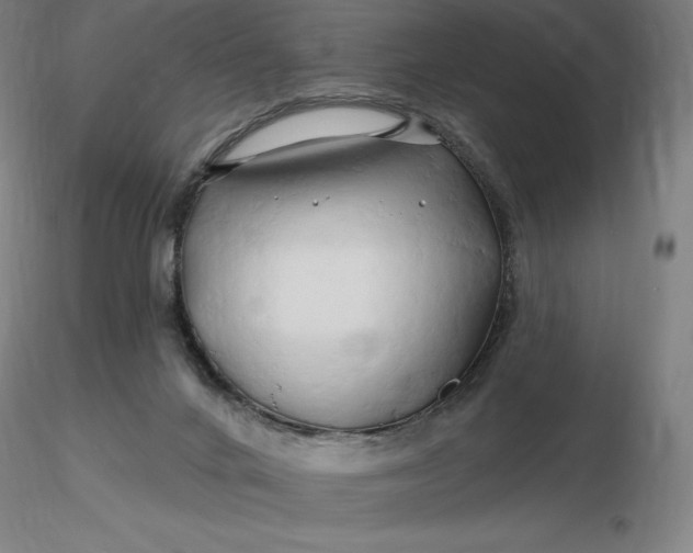X0000116280024200912211828
