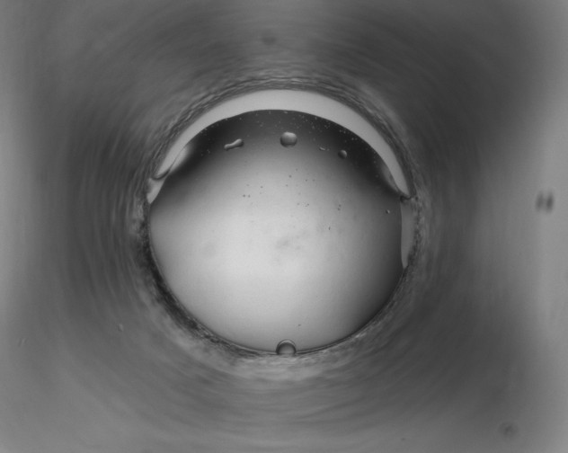 X0000116280025200912211828