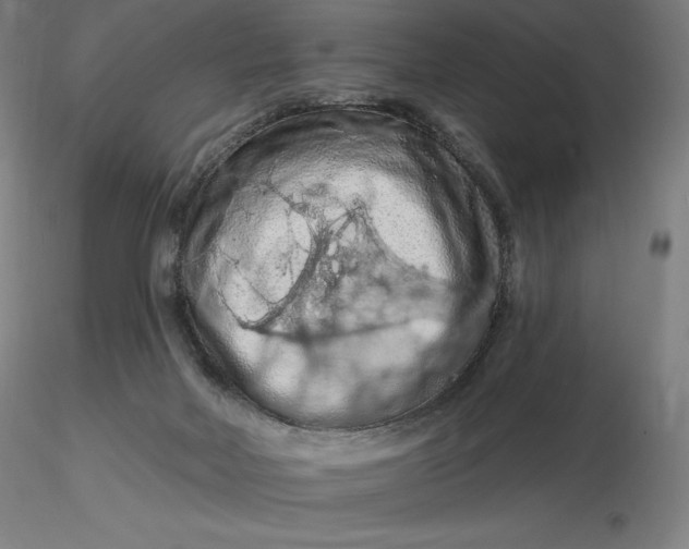 X0000116280026200912211828