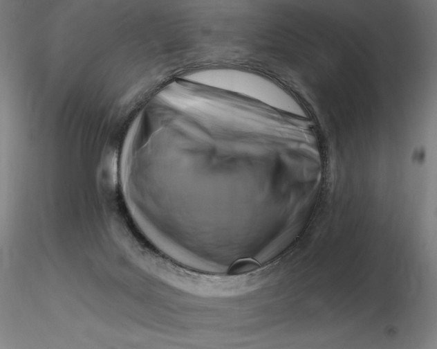 X0000116280027200912211828