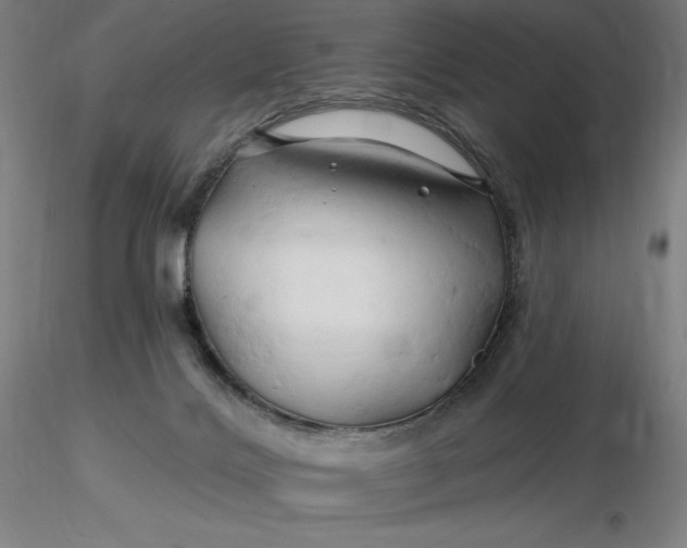 X0000116280028200912211828