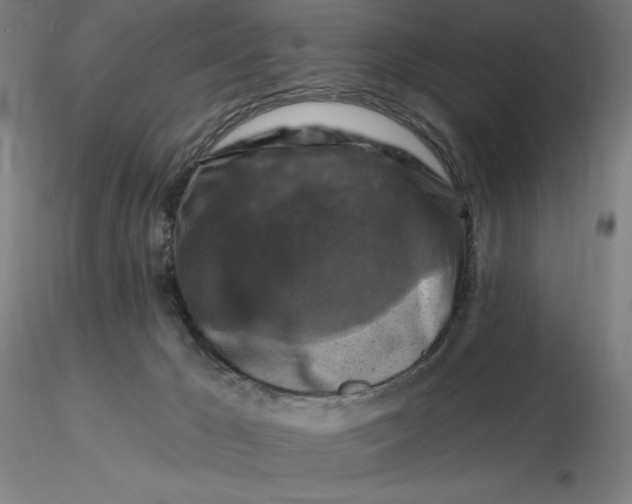 X0000116280029200912211828