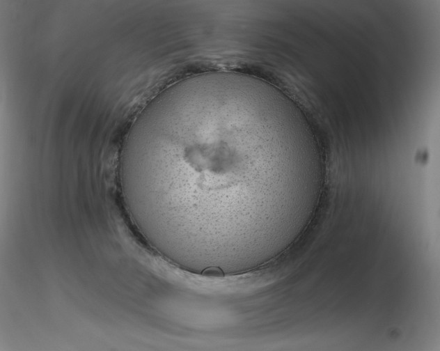 X0000116280030200912211828