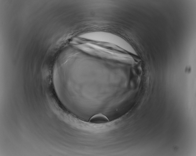X0000116280031200912211828