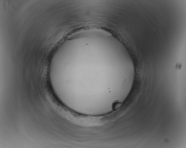 X0000116280032200912211828