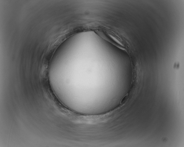 X0000116280033200912211828