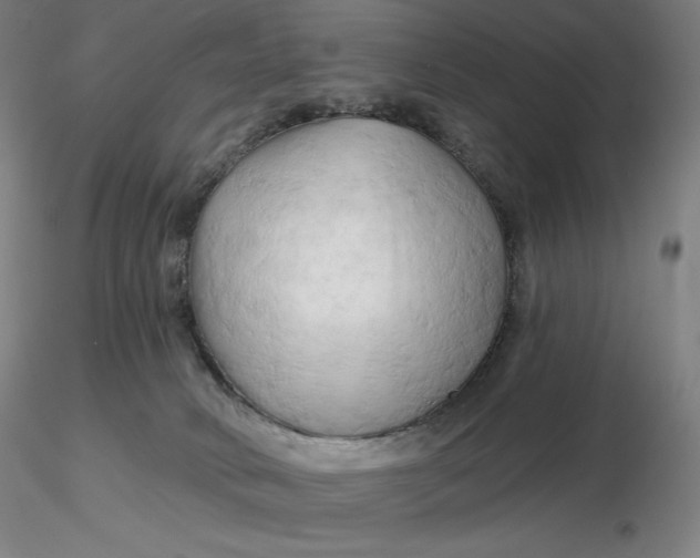 X0000116280034200912211828