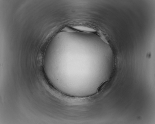 X0000116280036200912211828