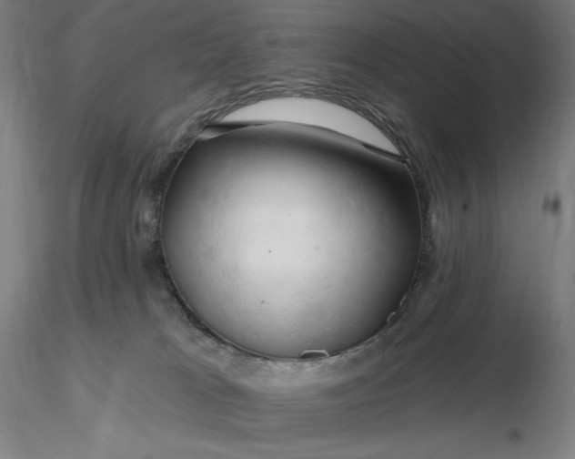X0000116280037200912211828