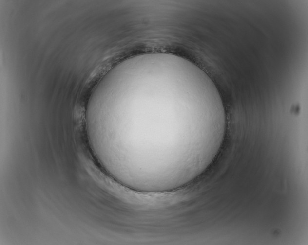 X0000116280038200912211828