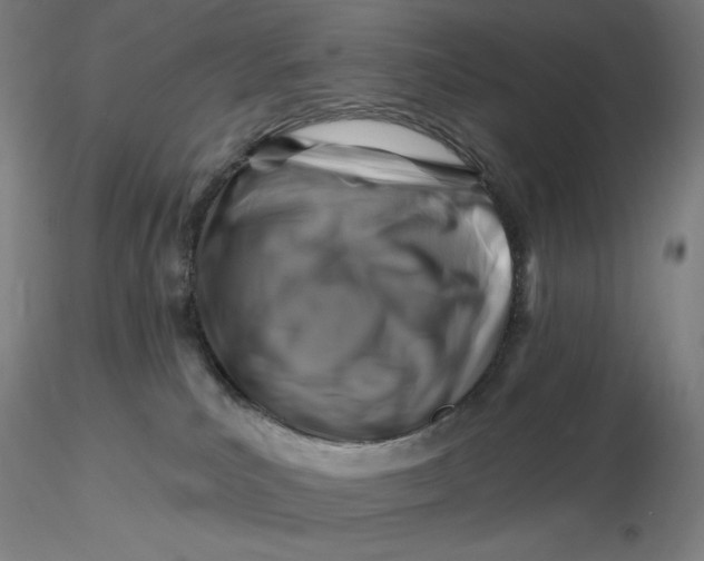 X0000116280039200912211828
