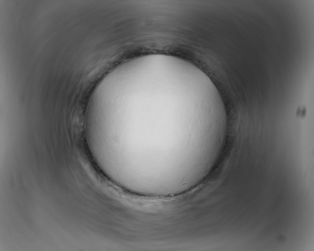 X0000116280040200912211828