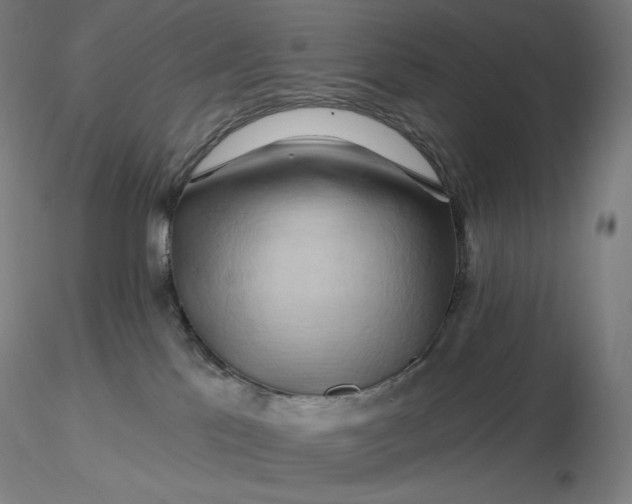 X0000116280041200912211828