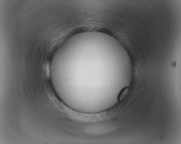 X0000116280042200912211828