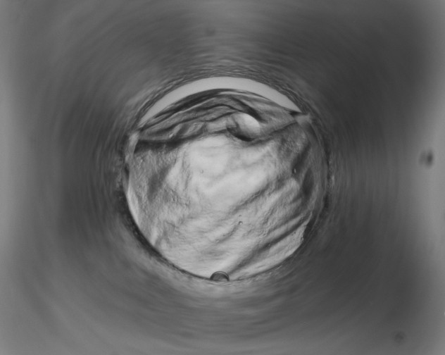X0000116280043200912211828