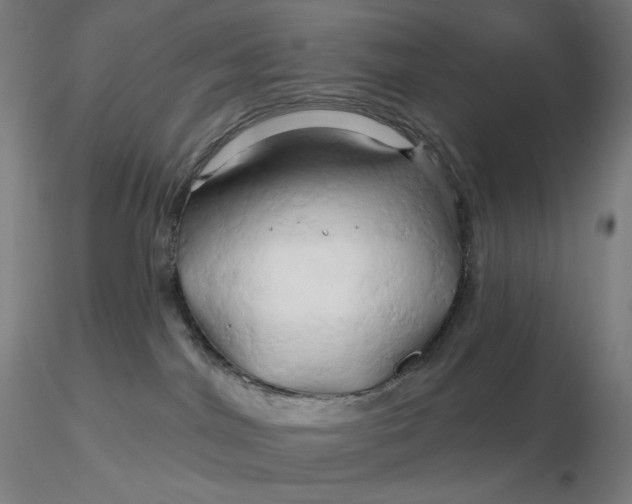 X0000116280044200912211828