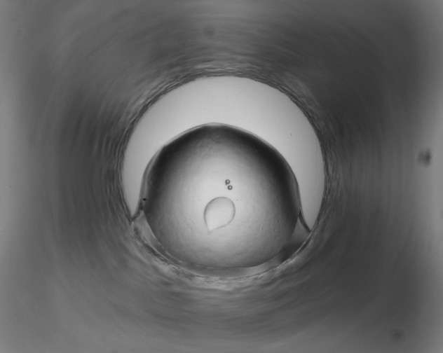 X0000116280045200912211828