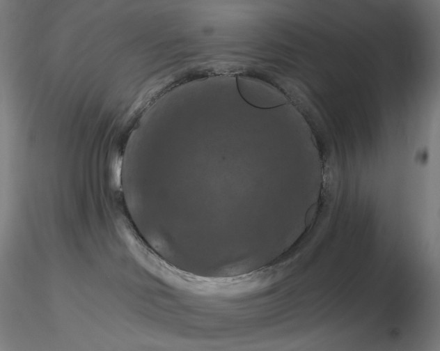 X0000116280046200912211828