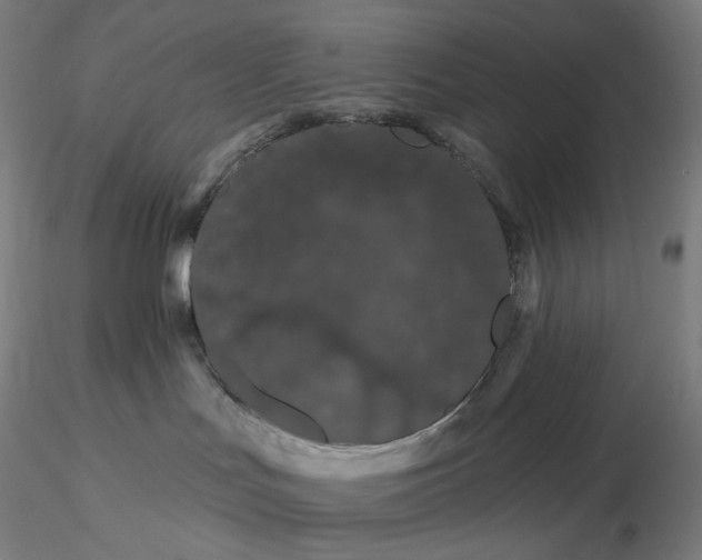 X0000116280047200912211828