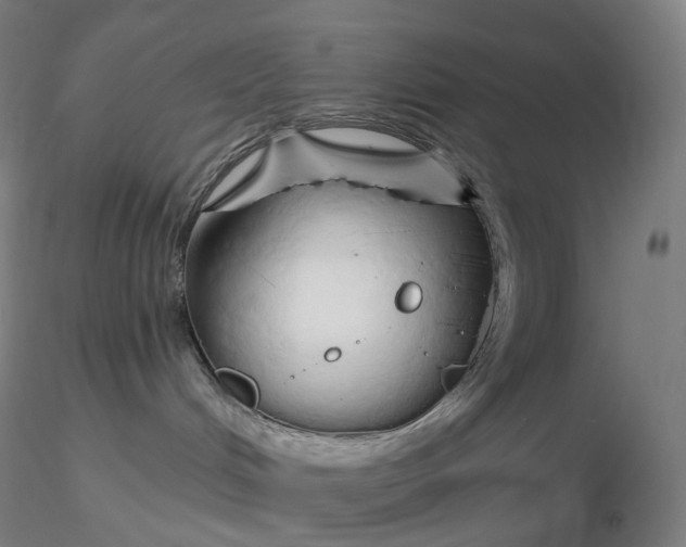 X0000116280048200912211828