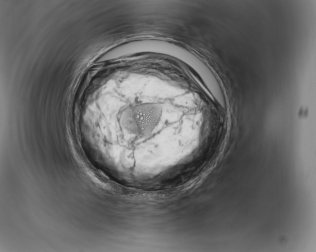 X0000116280049200912211827
