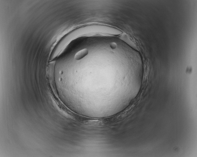 X0000116280050200912211827
